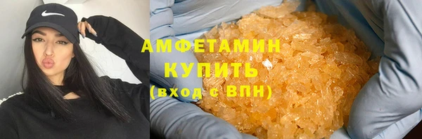индика Нязепетровск