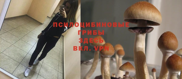 соль курить ск Аркадак