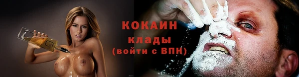 индика Нязепетровск