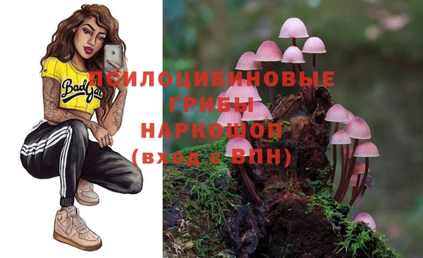 мяу мяу мука Армянск