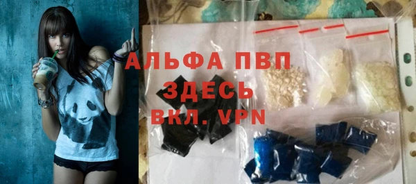 индика Нягань