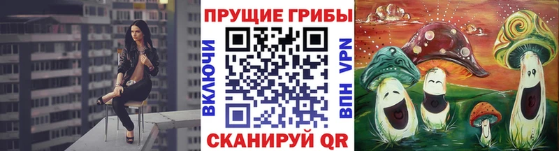 где продают   OMG как зайти  площадка формула  Татарск  Псилоцибиновые грибы GOLDEN TEACHER 